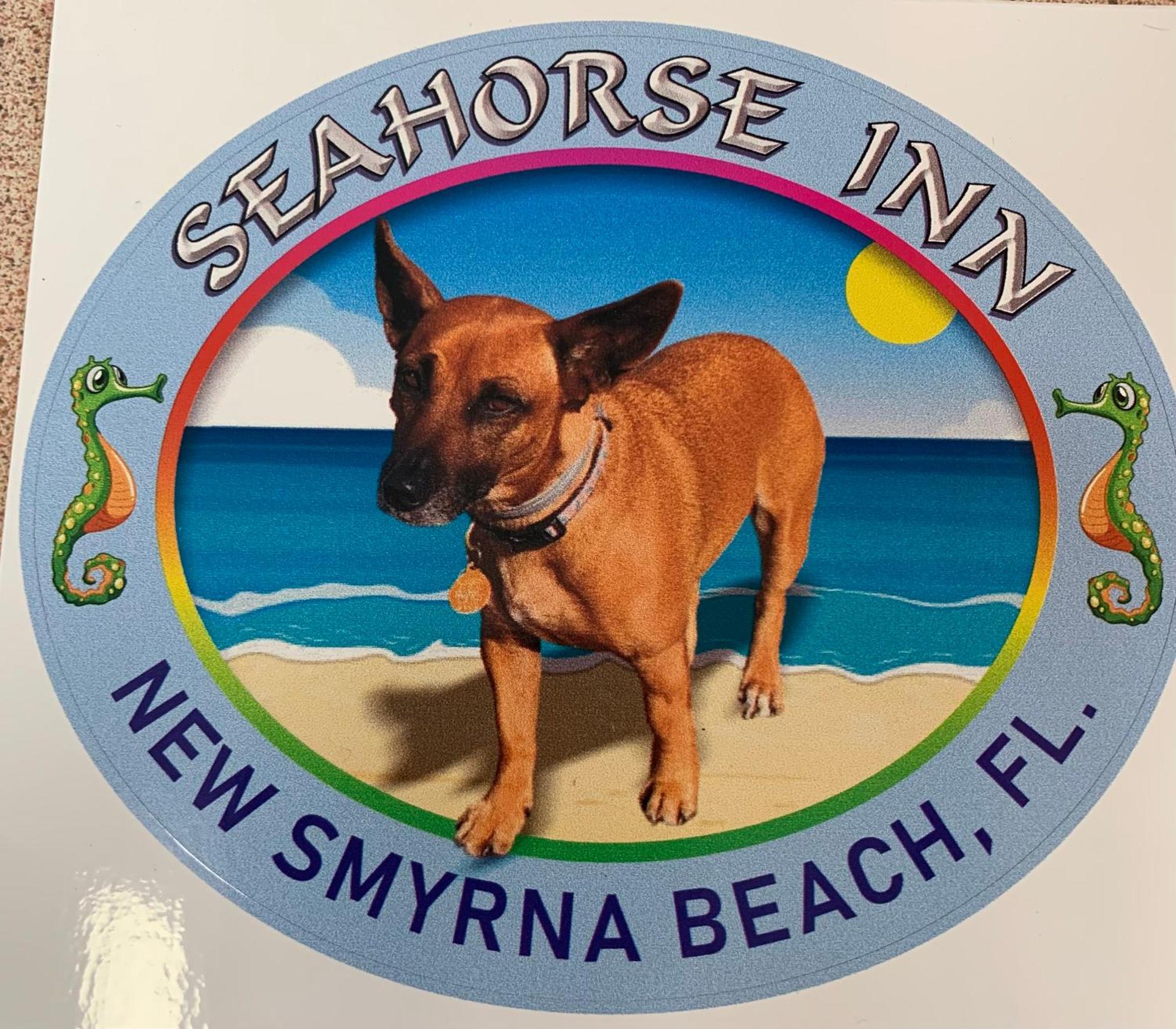 Seahorse Inn New Smyrna Beach Eksteriør billede
